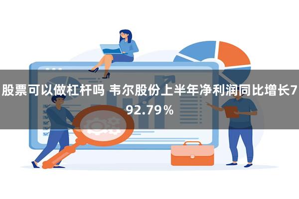 股票可以做杠杆吗 韦尔股份上半年净利润同比增长792.79%